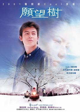 愿望树封面图
