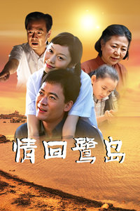 情回鹭岛封面图