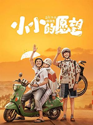 小小的愿望封面图