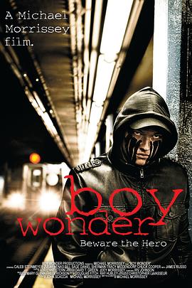 复仇少年封面图