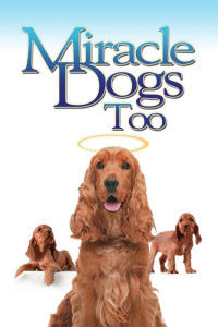 天降神犬2封面图