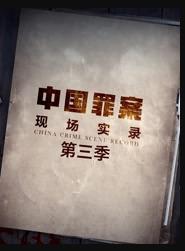 罪案现场实录第三季封面图
