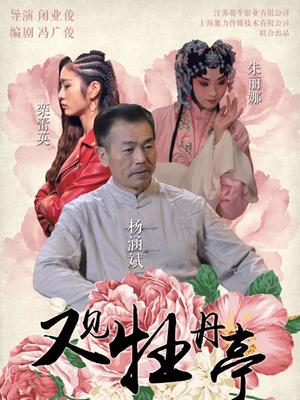 又见牡丹亭封面图