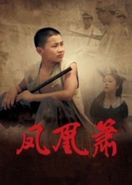 凤凰箫封面图