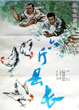 六斤县长封面图