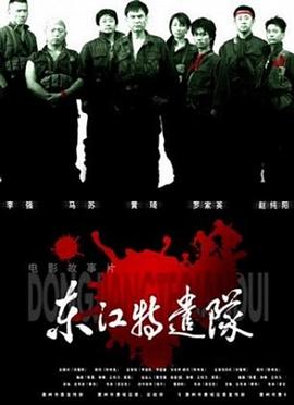 东江特遣队封面图