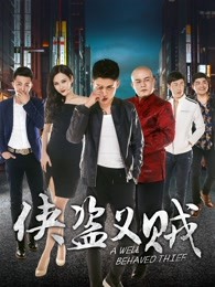 侠盗义贼封面图