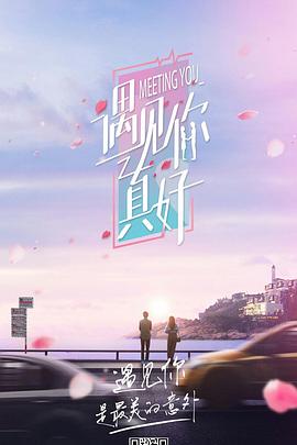 遇见你真好第一季封面图