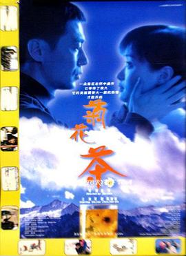 菊花茶封面图