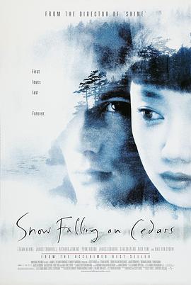 落在香杉树的雪花封面图