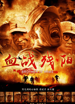 血战残阳封面图