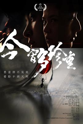 今宵多珍重封面图