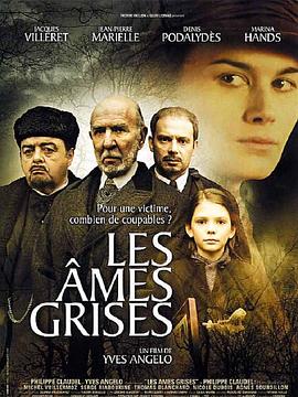 灰色的灵魂封面图