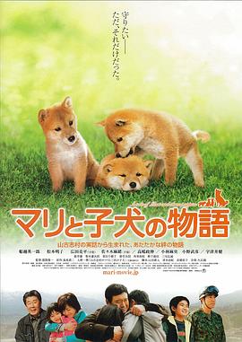 爱犬的奇迹封面图