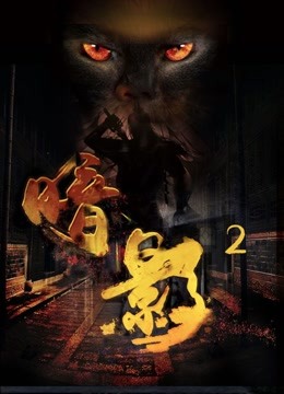 暗影2封面图
