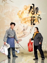 月季花开封面图