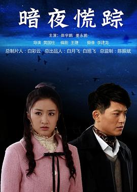 暗夜慌踪封面图
