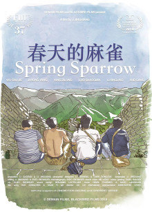春天的麻雀封面图