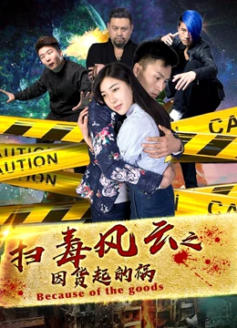 扫毒风云之因货起的祸封面图