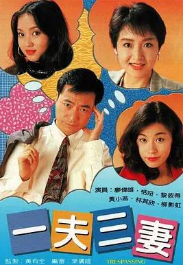 一夫三妻国语封面图