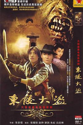 东陵大盗2008封面图