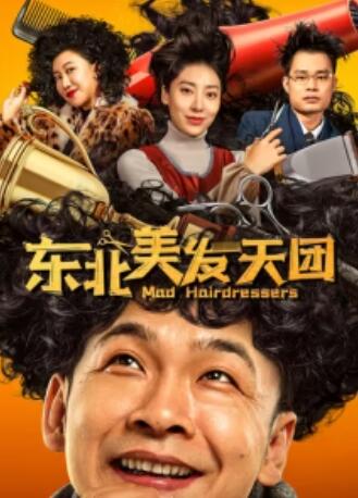 东北美发天团封面图