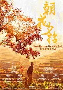 朝花夕拾2024封面图