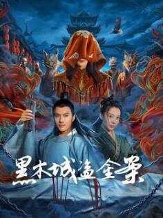 黑木城盗金案封面图