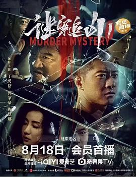 谜案追凶封面图