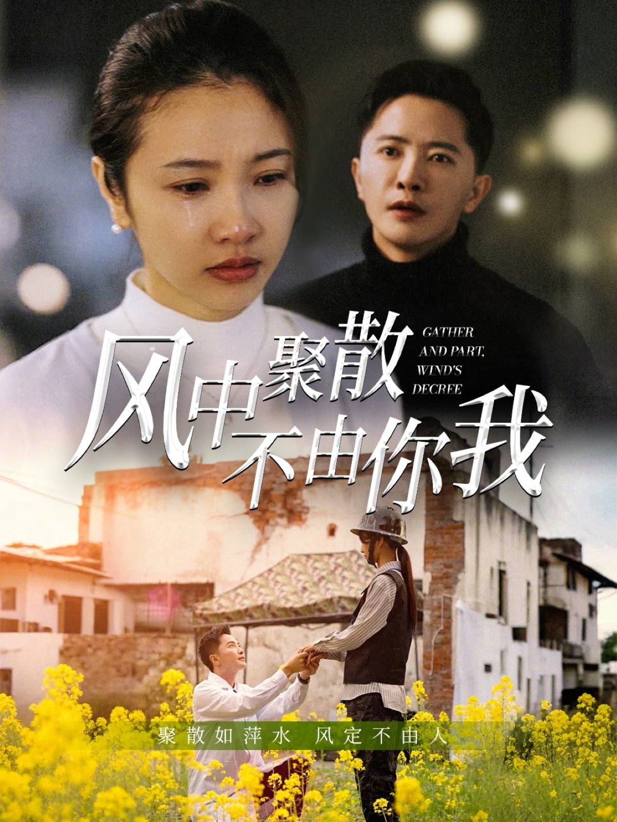 风中聚散不由你我封面图