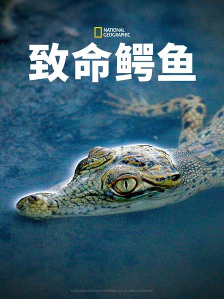 致命鳄鱼封面图