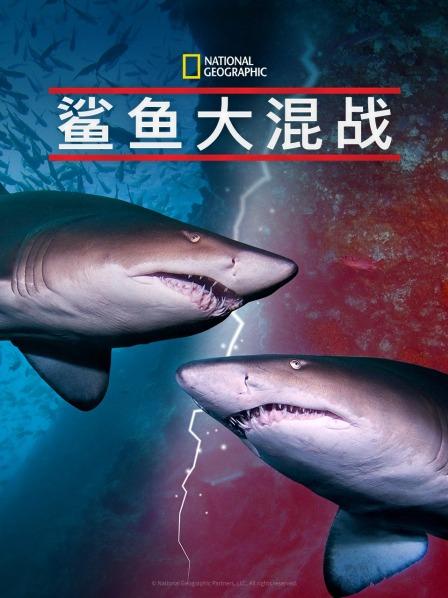 鲨鱼大混战封面图