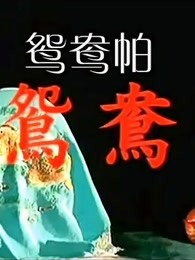 鸳鸯帕封面图