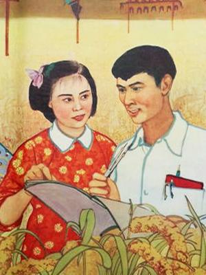 我们村里的年轻人（续集）封面图