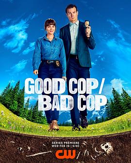 好警察/坏警察第一季封面图