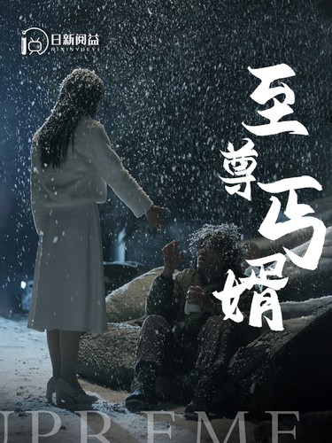 至尊丐婿封面图