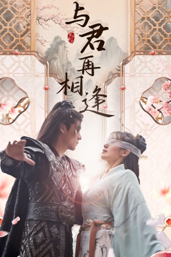 与君再相逢封面图