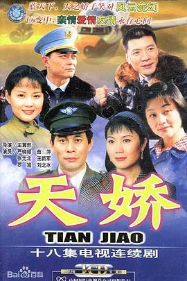 空姐的战争封面图