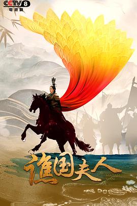 谯国夫人封面图