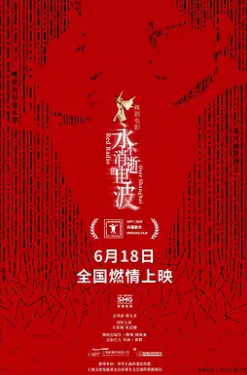 永不消逝的电波2024封面图