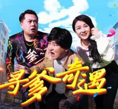 寻爹奇遇封面图