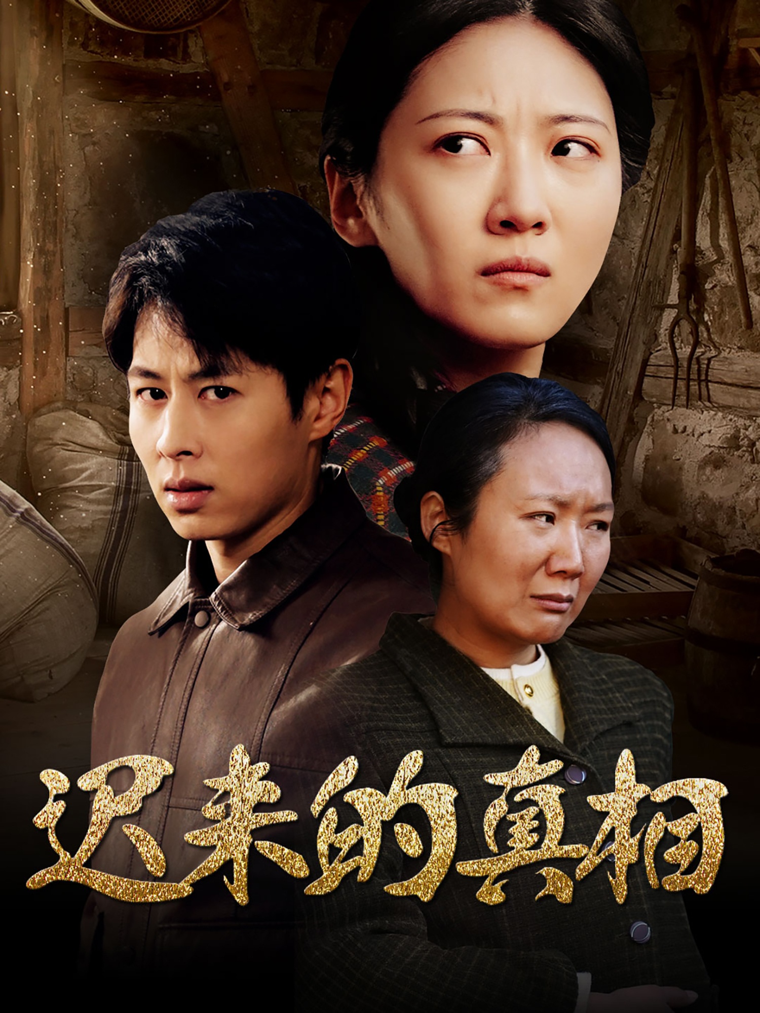 迟来的真相封面图