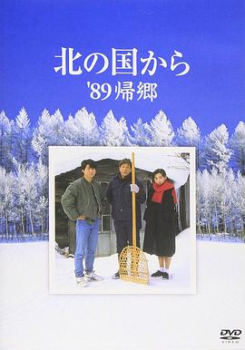 北国之恋：1989归乡封面图