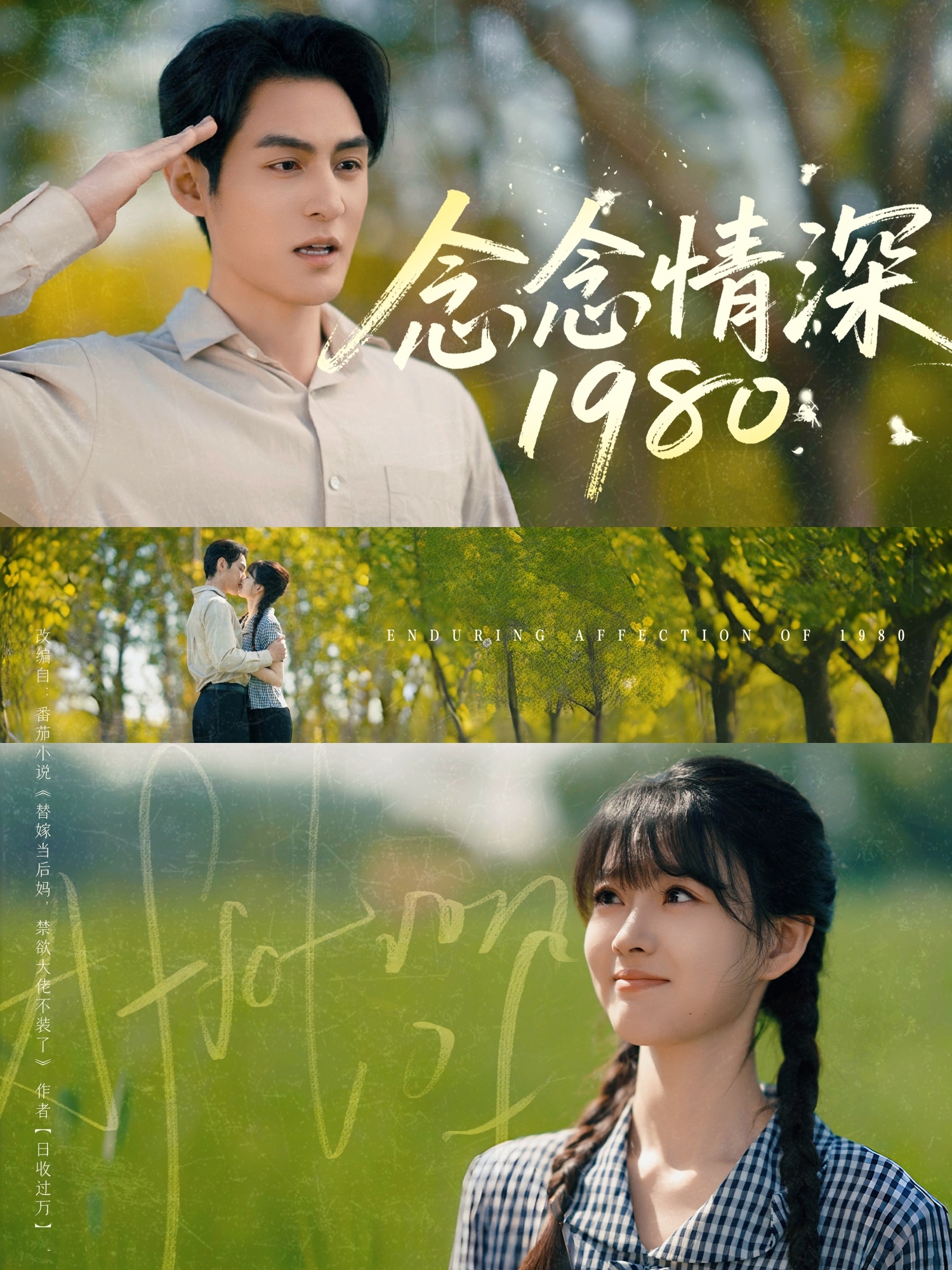 念念情深1980封面图