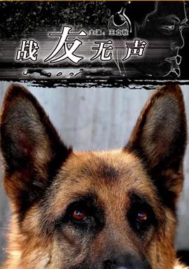战友无声封面图