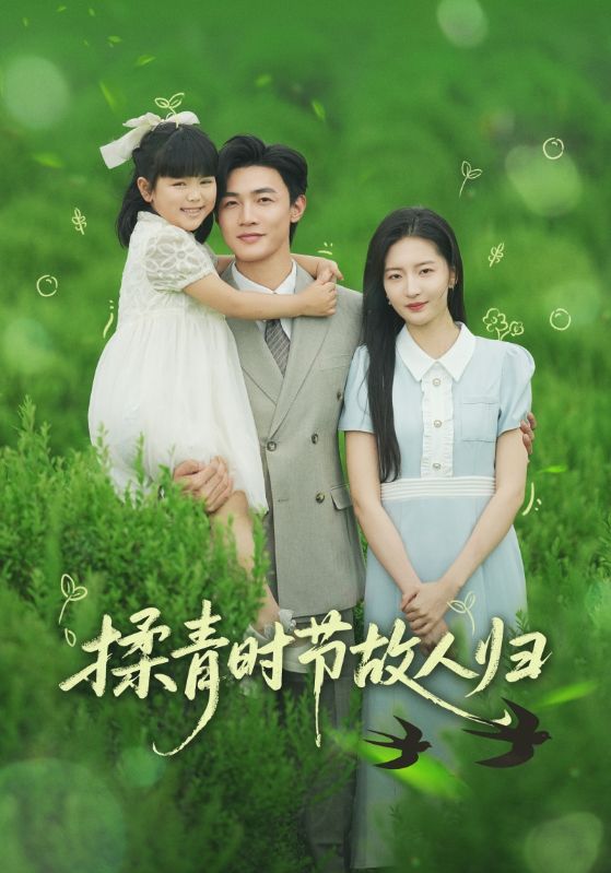 揉青时节故人归封面图