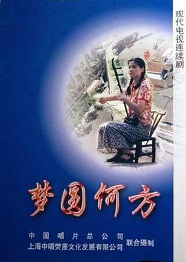 梦圆何方封面图