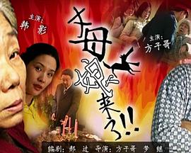 丈母娘来了封面图