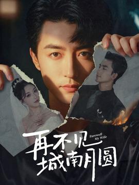 再不见城南月圆封面图