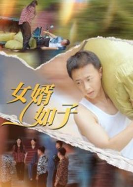 女婿如子封面图